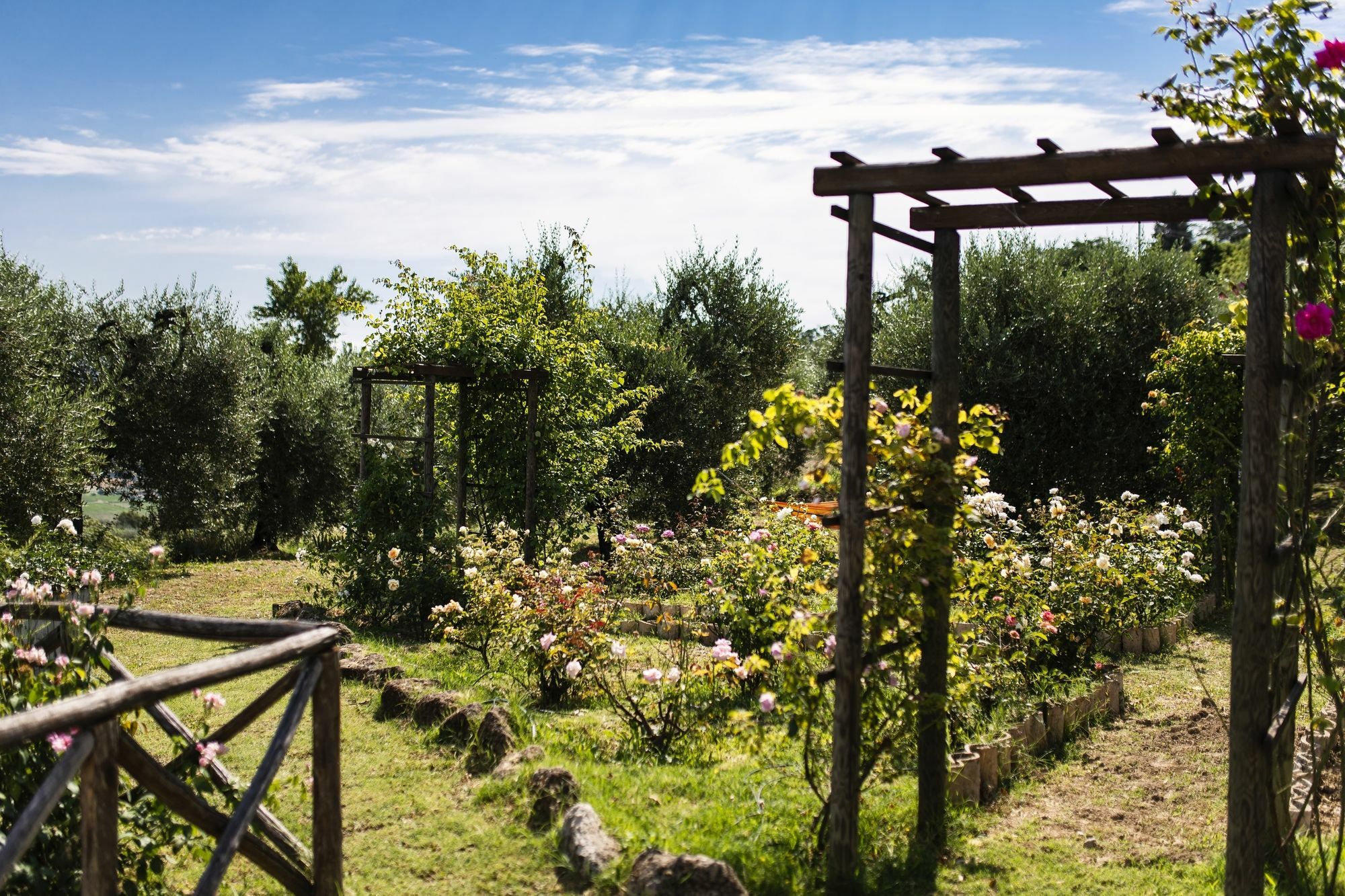 Orvieto Aroma Rooms 2 Bagian luar foto