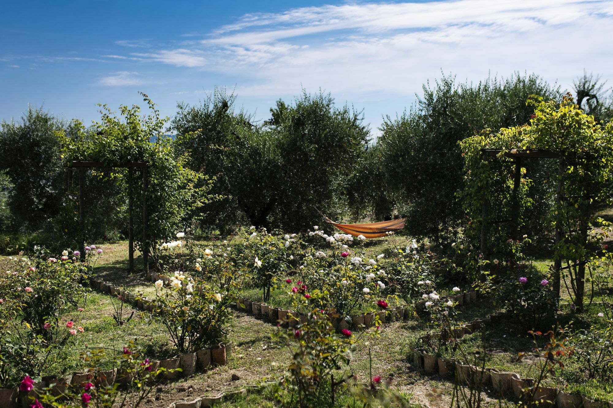 Orvieto Aroma Rooms 2 Bagian luar foto
