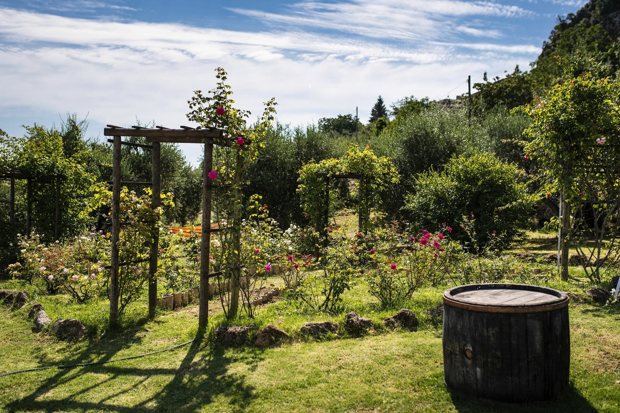 Orvieto Aroma Rooms 2 Bagian luar foto